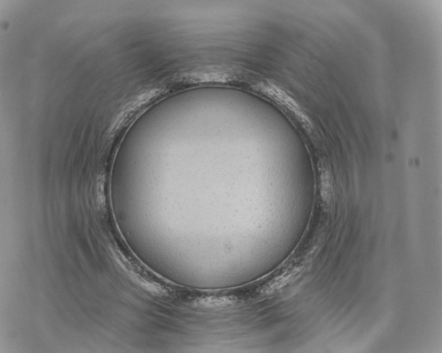 X0000072960537200608111653