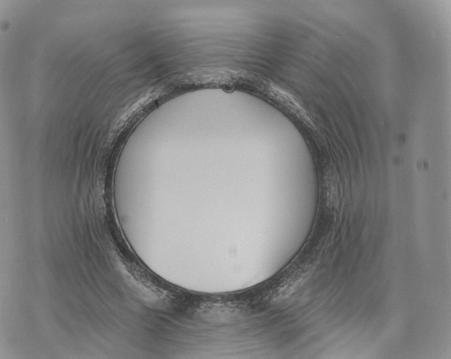 X0000072960538200608111653