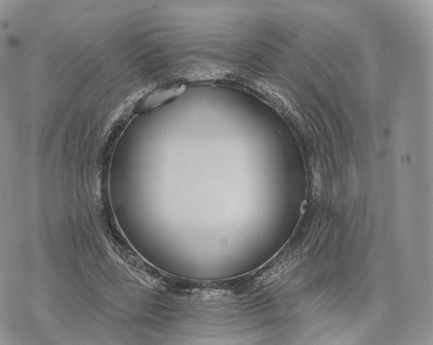 X0000072960539200608111653