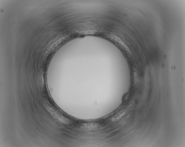 X0000072960541200608111653