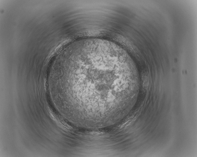 X0000072960542200608111653