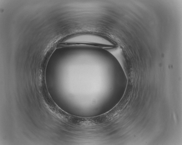 X0000072960544200608111653