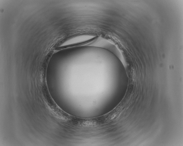 X0000072960546200608111653