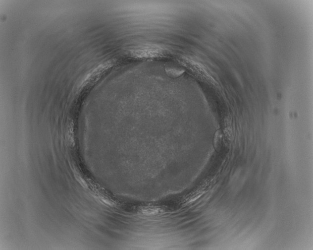 X0000072960547200608111653