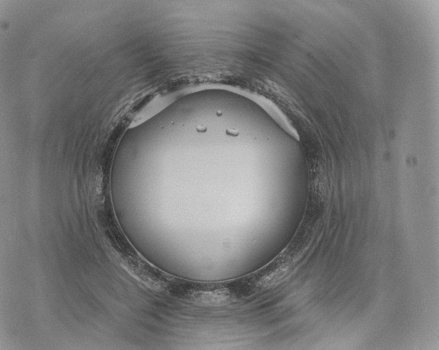 X0000072960548200608111653