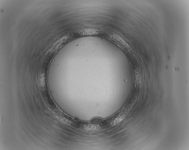 X0000072960549200608111653