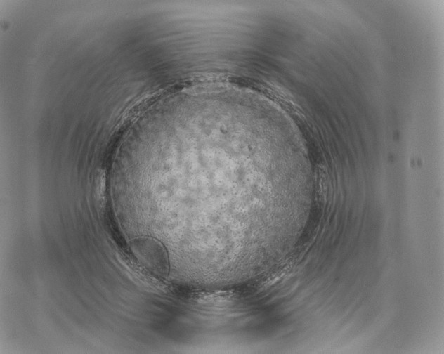 X0000072960550200608111653