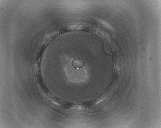 X0000072960551200608111653