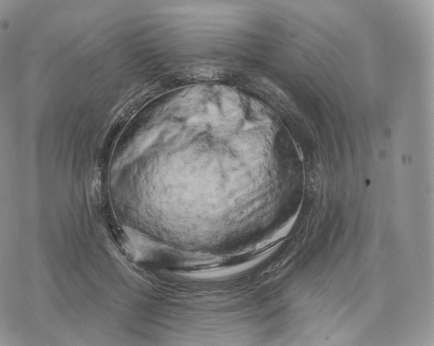 X0000072960552200608111653