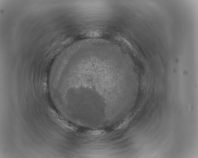 X0000072960553200608111653