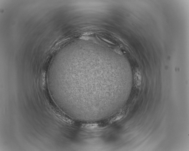 X0000072960554200608111653