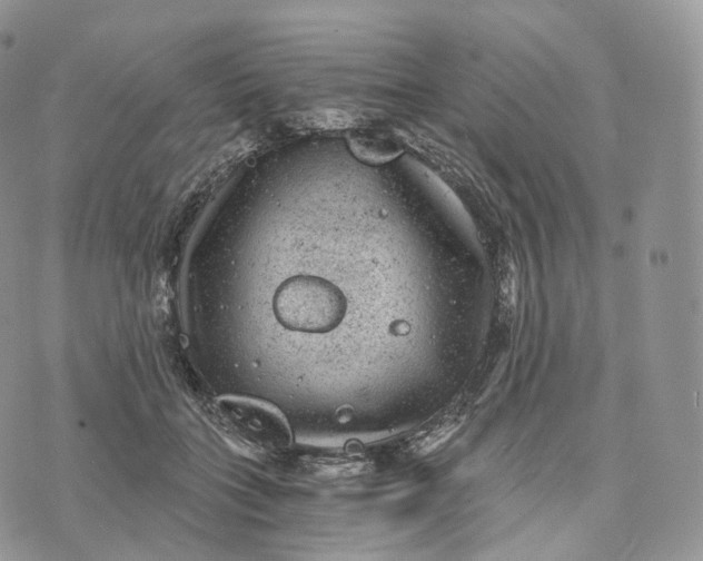 X0000072960555200608111653