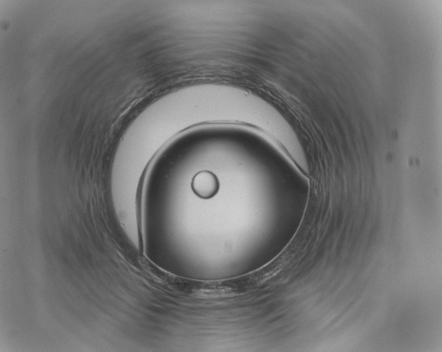 X0000072960556200608111653