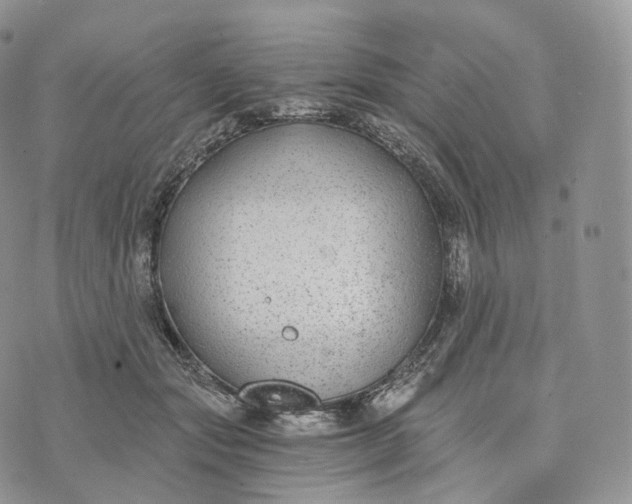 X0000072960557200608111653