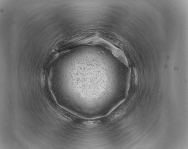 X0000072960558200608111653