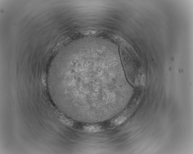 X0000072960561200608111654