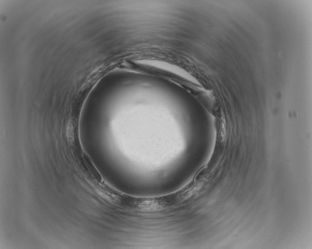 X0000072960562200608111654