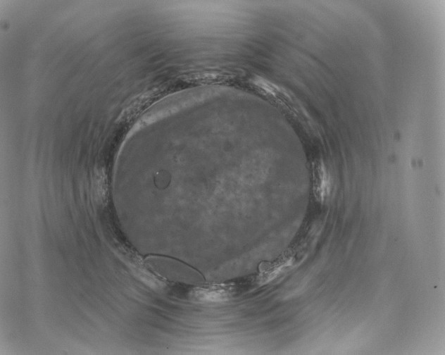 X0000072960563200608111654