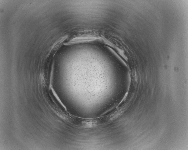 X0000072960564200608111654