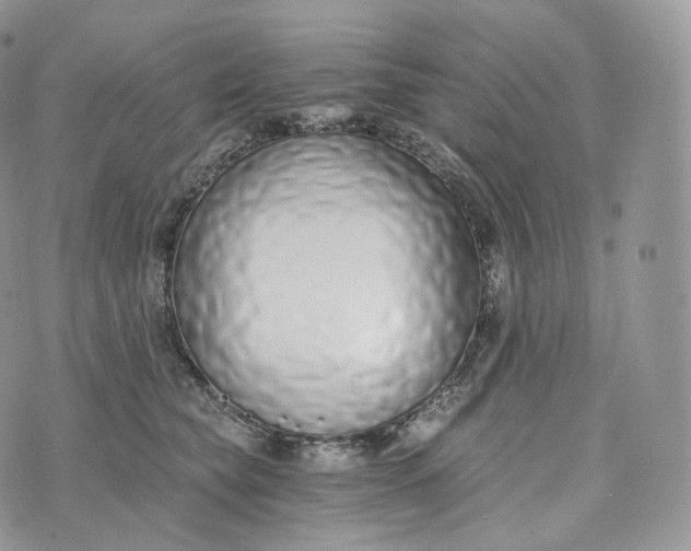 X0000072960565200608111654