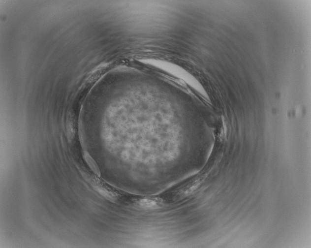 X0000072960566200608111654