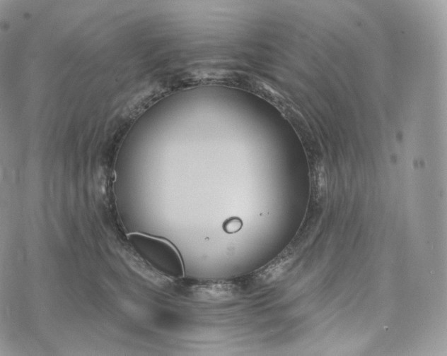 X0000072960567200608111654