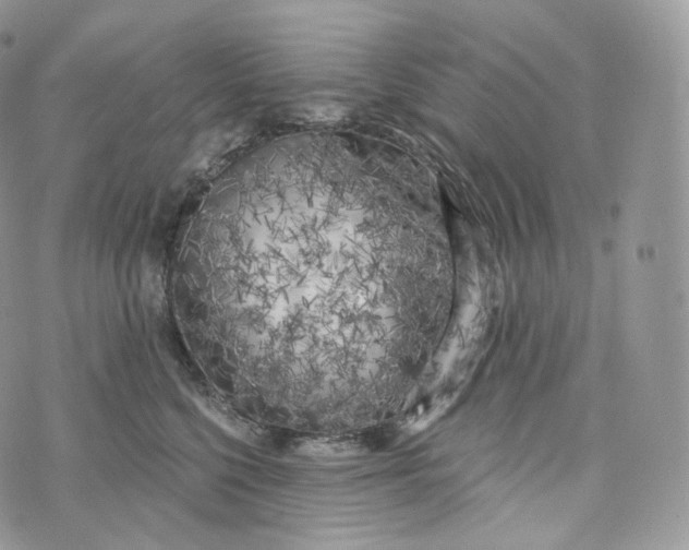 X0000072960568200608111654