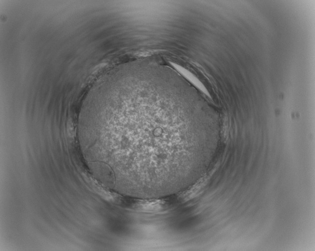 X0000072960569200608111654