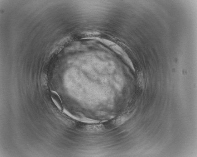 X0000072960571200608111654