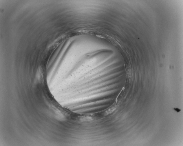 X0000072960572200608111654