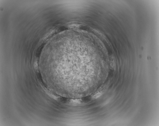 X0000072960573200608111654