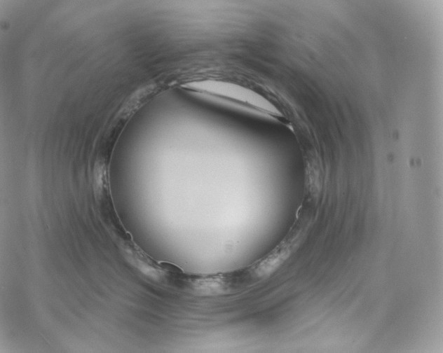 X0000072960574200608111654