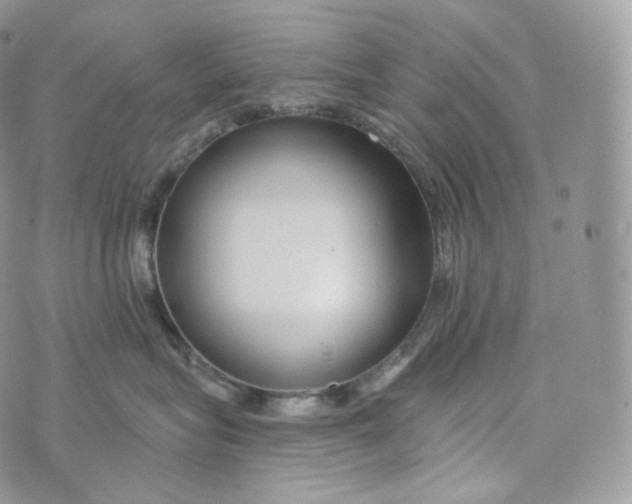 X0000072960575200608111654