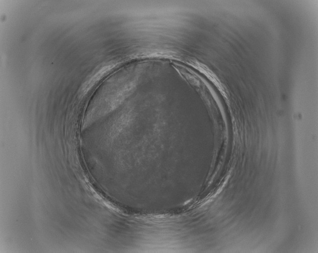 X0000072960577200608111653