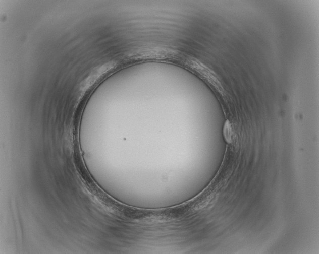 X0000072960578200608111653