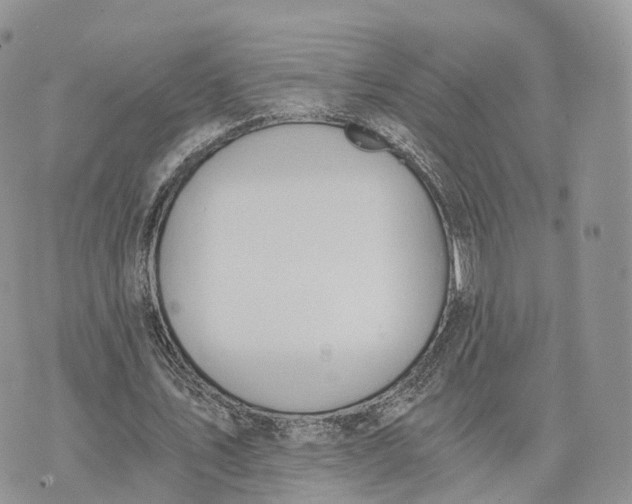 X0000072960579200608111653