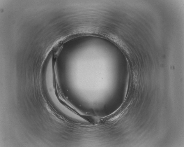 X0000072960580200608111653