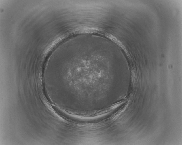 X0000072960581200608111653