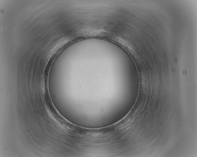 X0000072960582200608111653