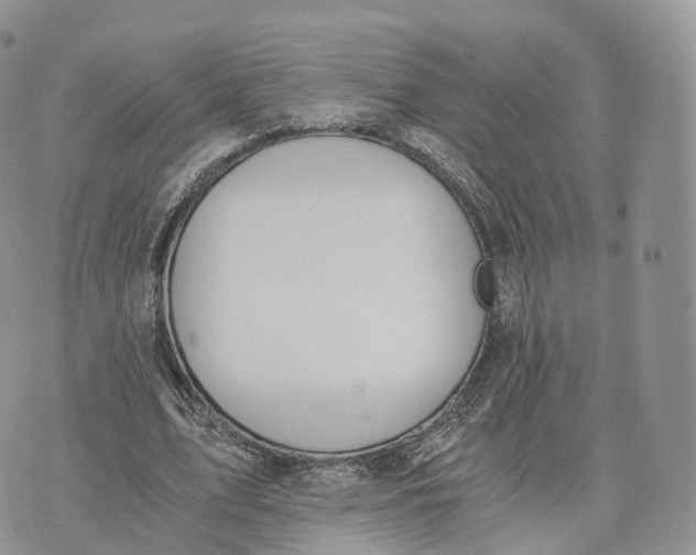 X0000072960583200608111653