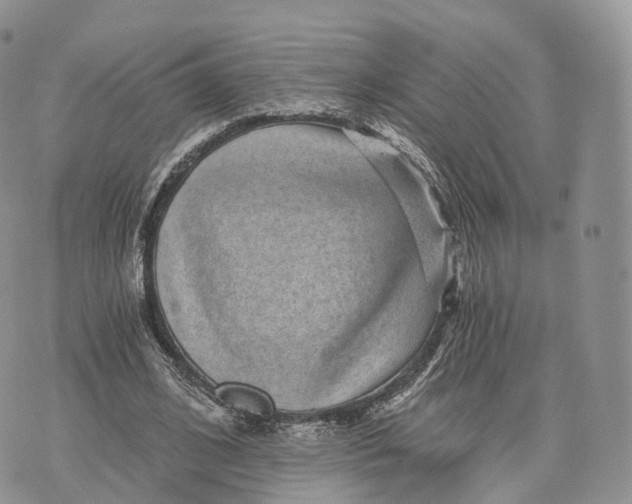 X0000072960584200608111653