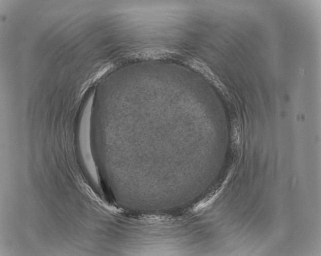 X0000072960585200608111653