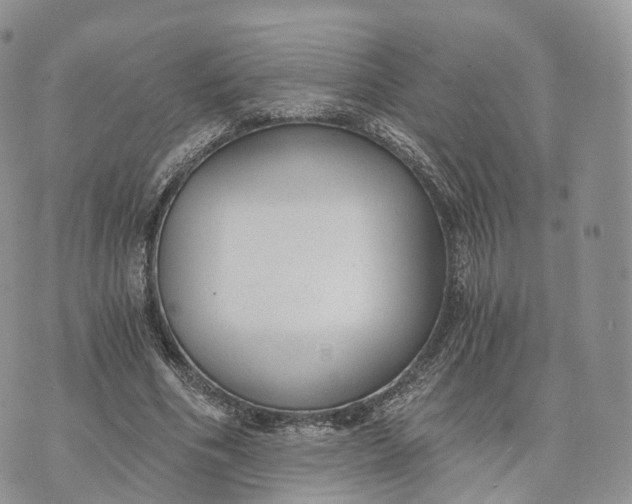 X0000072960586200608111653