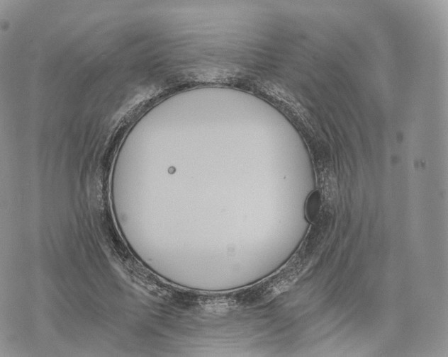 X0000072960587200608111653