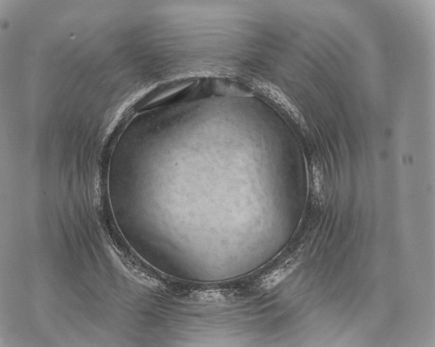 X0000072960588200608111653