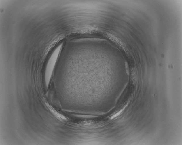 X0000072960589200608111653