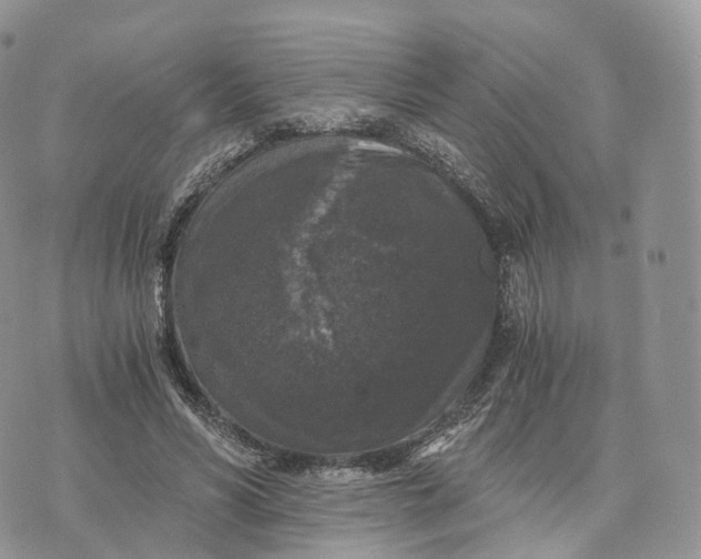 X0000072960590200608111653