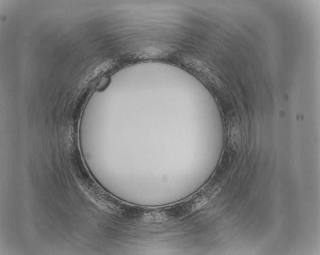 X0000072960591200608111653