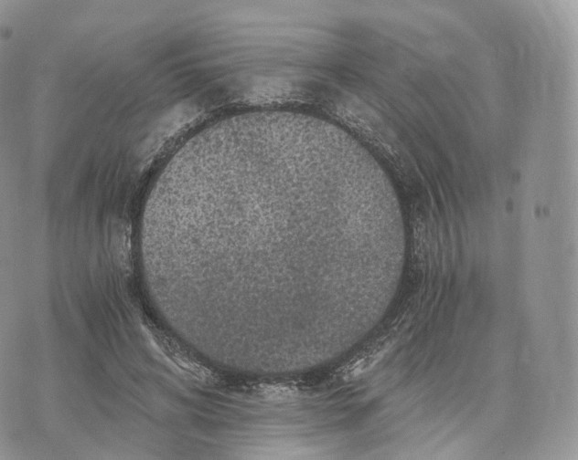 X0000072960592200608111653