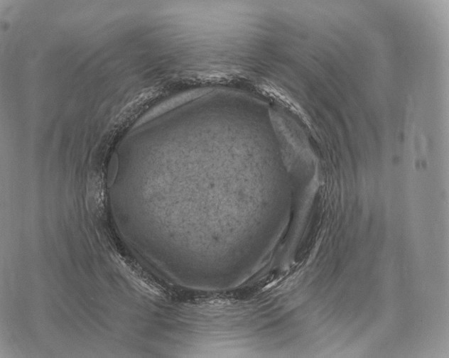 X0000072960593200608111653